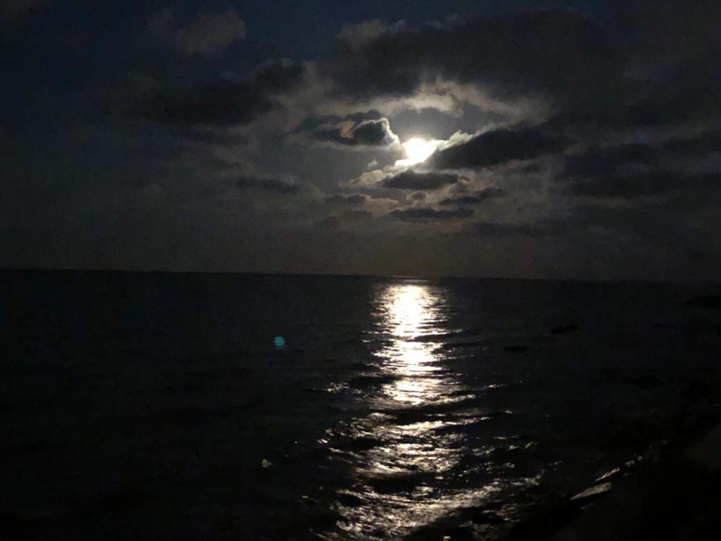 Casa Vacanze De Nittis Μπαρλέτα Εξωτερικό φωτογραφία